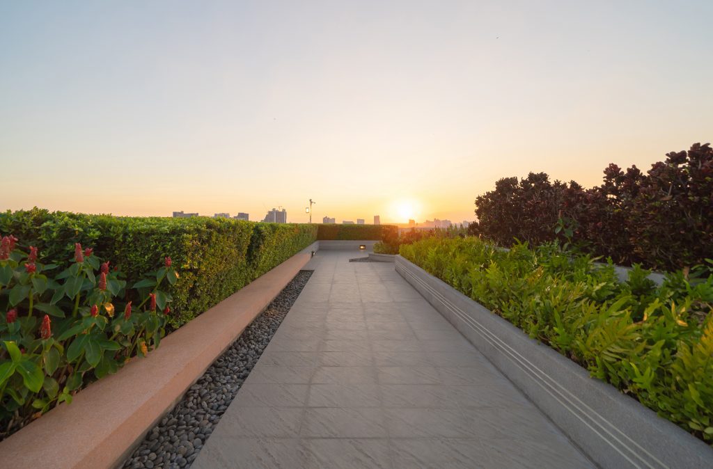 Sky garden on private rooftop of condominium or hotel, high rise architecture building with tree, grass field, and blue sky.